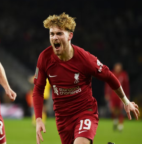 Wolves 0-1 Liverpool: Reds proceed to FA Cup 4th round